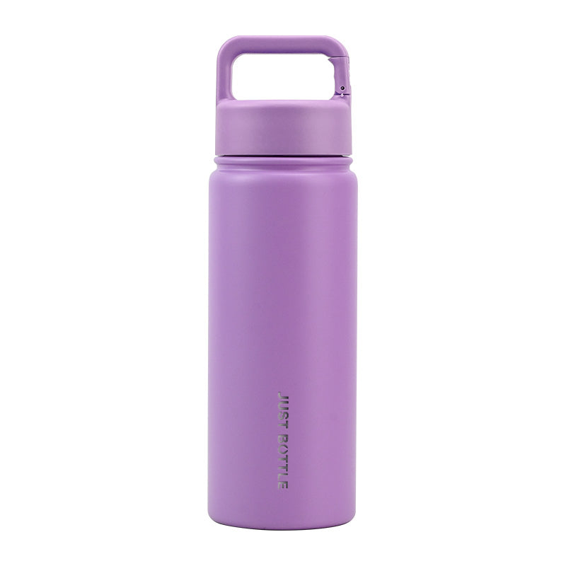 Metal water bottle with company logo and carabiner clip lid in purple - Just Bottle Clipper 550ml / 18 oz