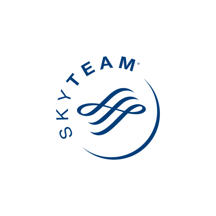 Sky Team logo