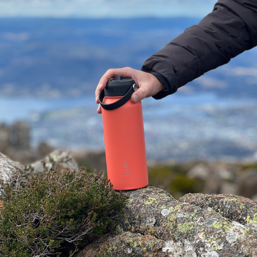 Pink stainless steel bottle on the rock on top of the mountain