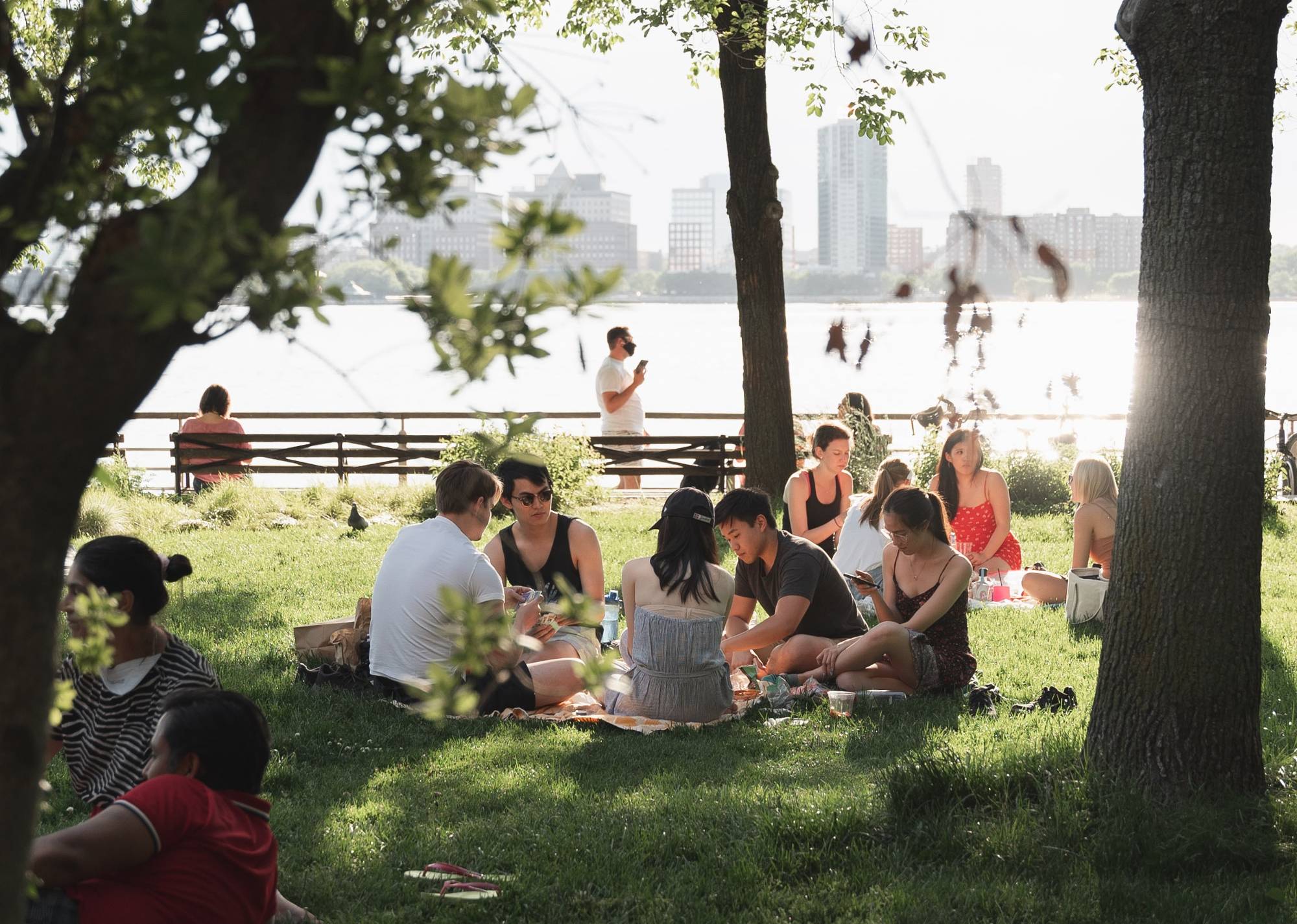 people sitting in a park on a sunny day