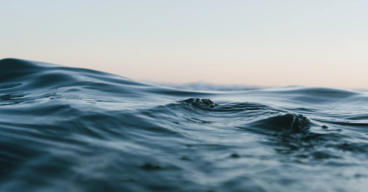 gentle waves in the ocean