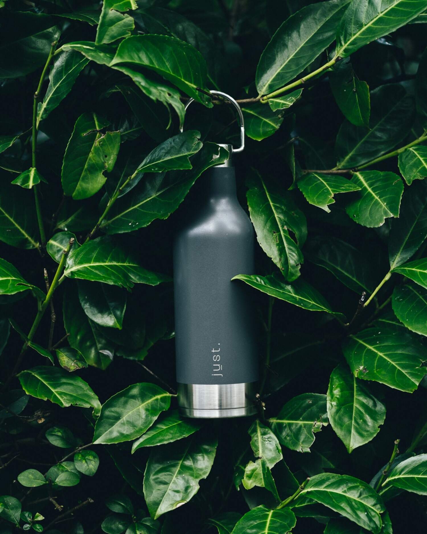 flint grey water bottle with green leaves in background