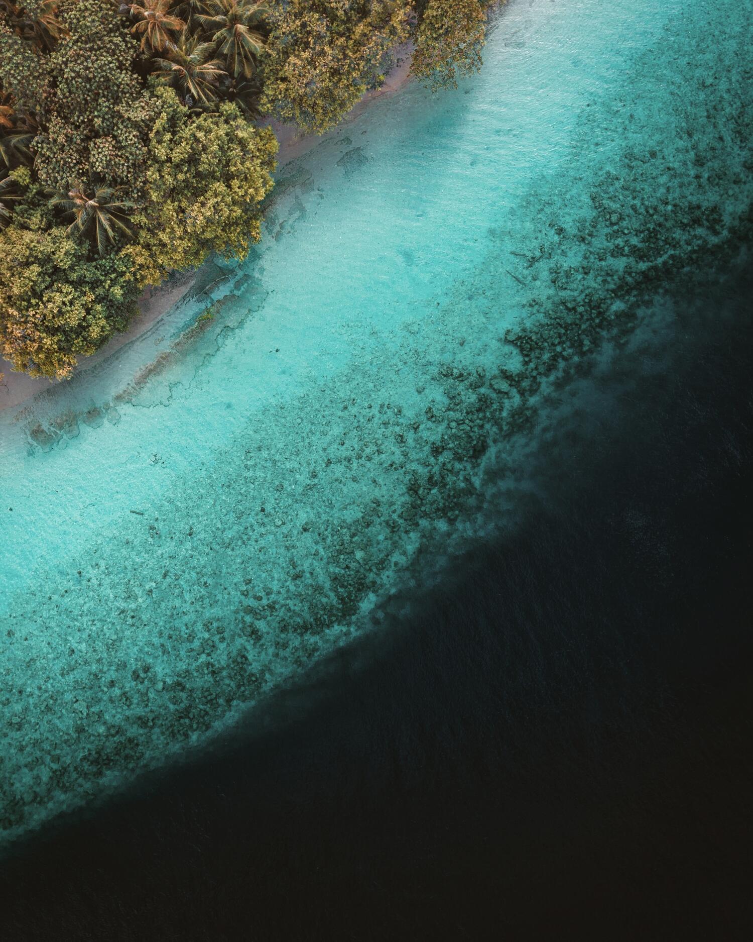 dark ocean next to shallow light blue water with mangrove trees and a small beach