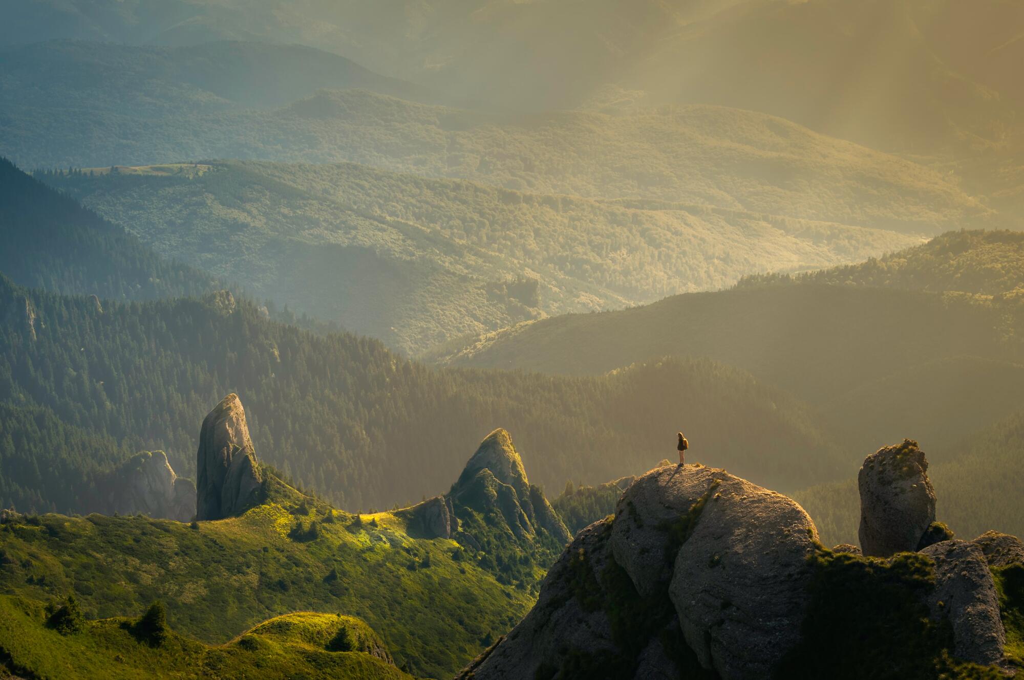 person standing on rock in front of green mountain range