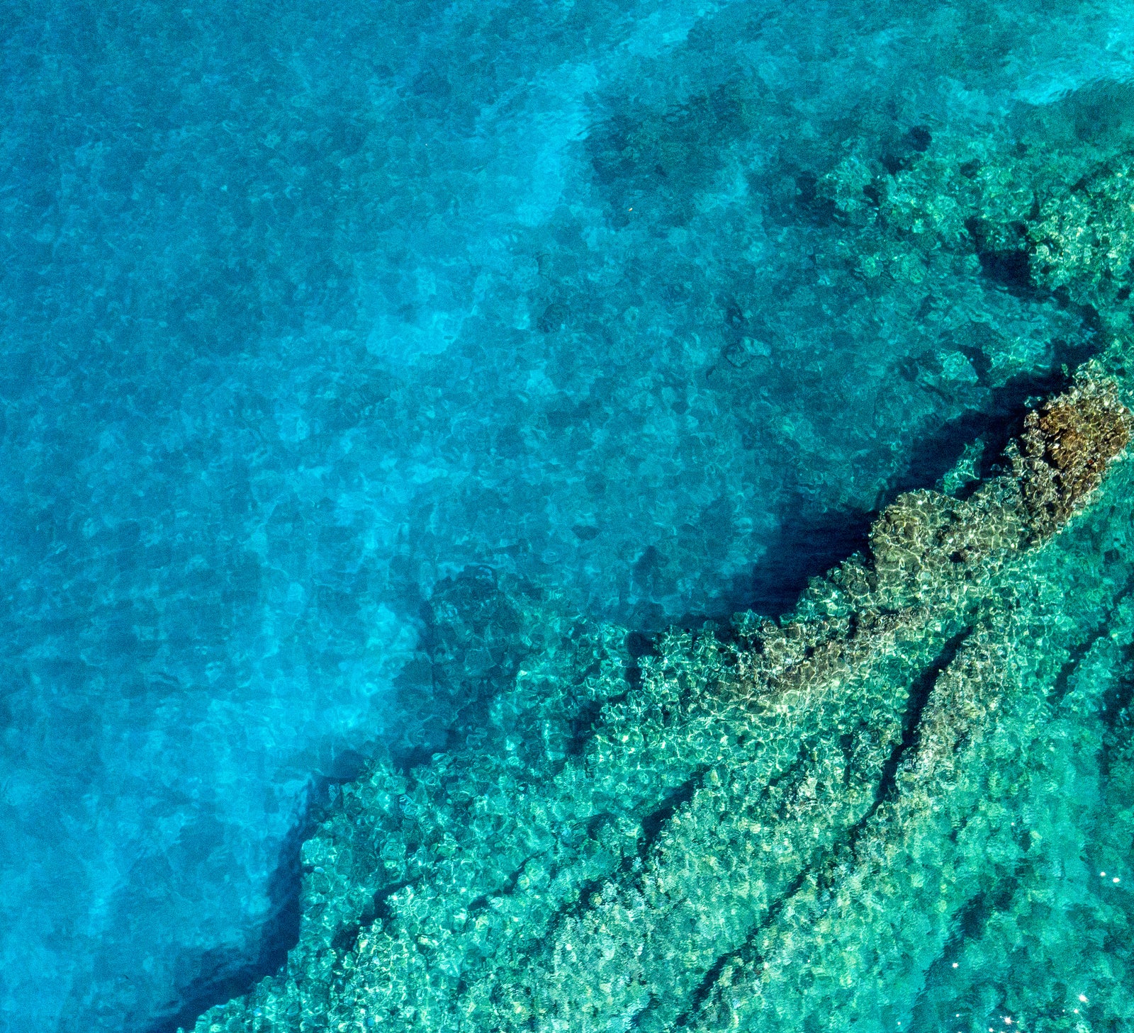 light blue water with coral underneath ocean