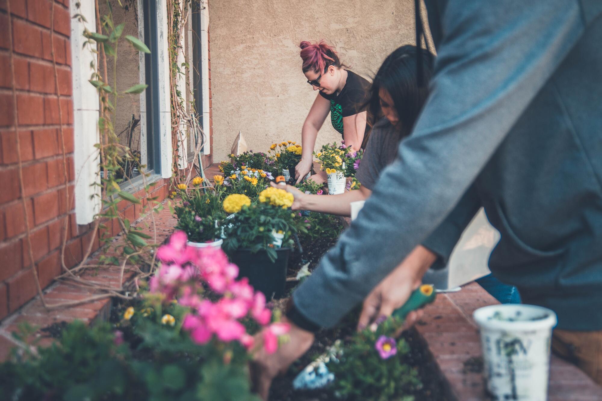 people planting flowers in a brick flowerbed