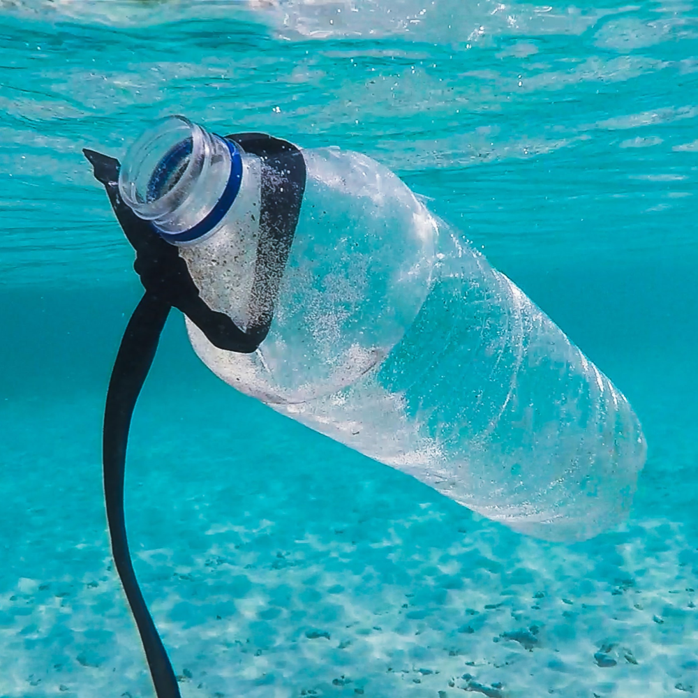 plastic water bottle floating in light blue sea
