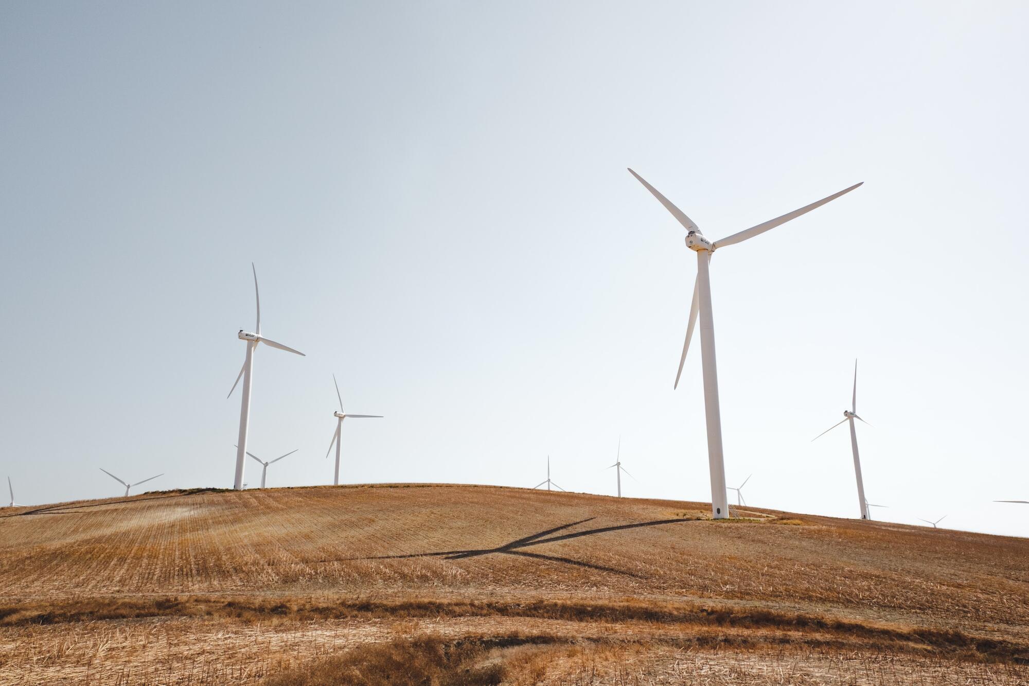 windmill farm on a brown field